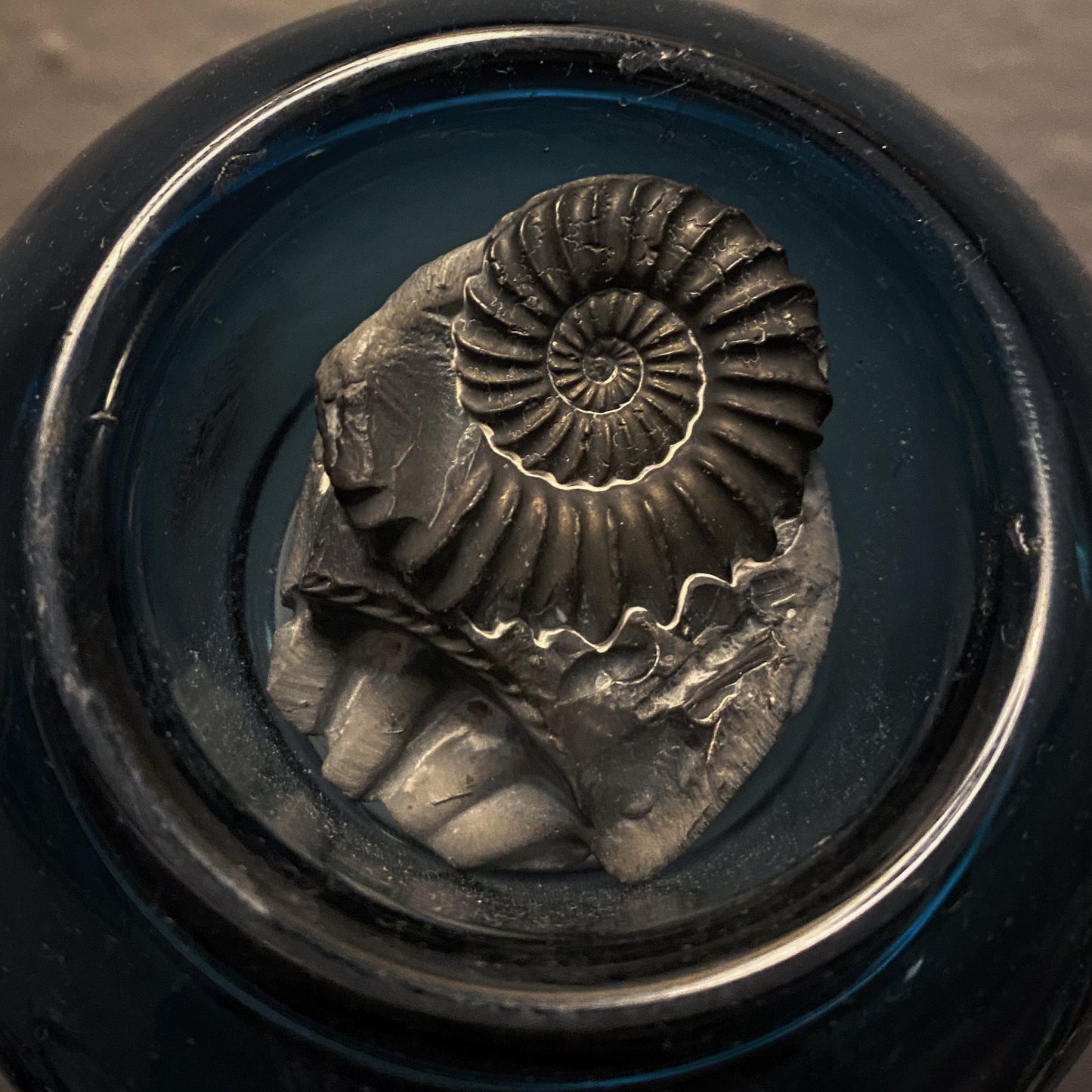 Ammonite shell pendant