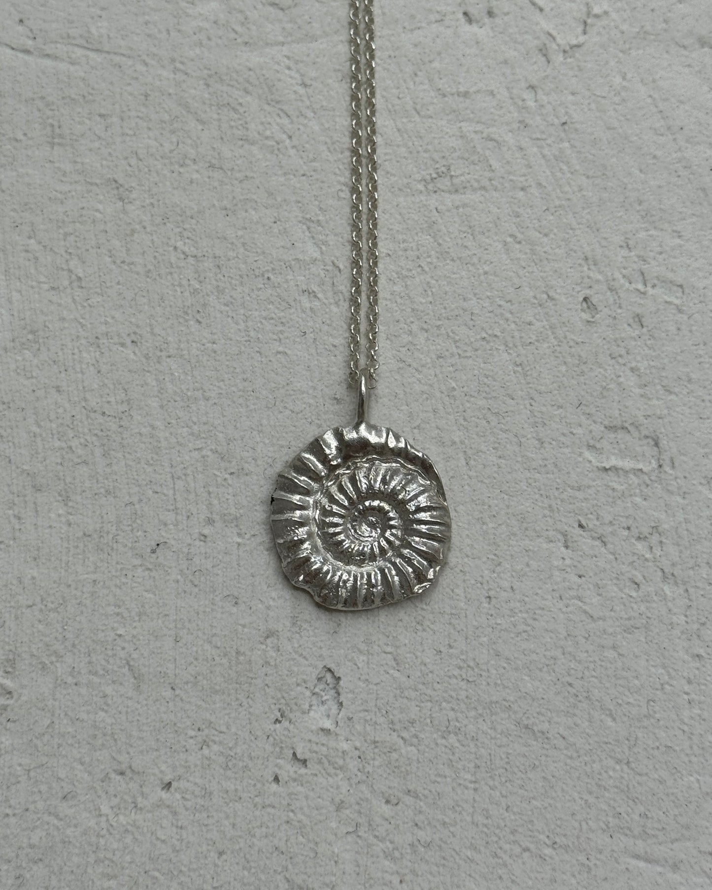 Ammonite shell pendant