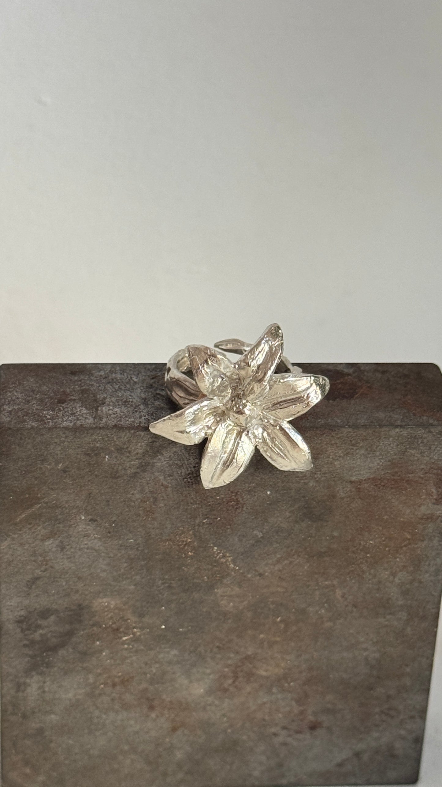 Lost Wax Group Workshop